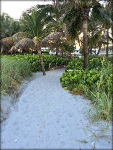 This sandy walkway leads to the beach! 